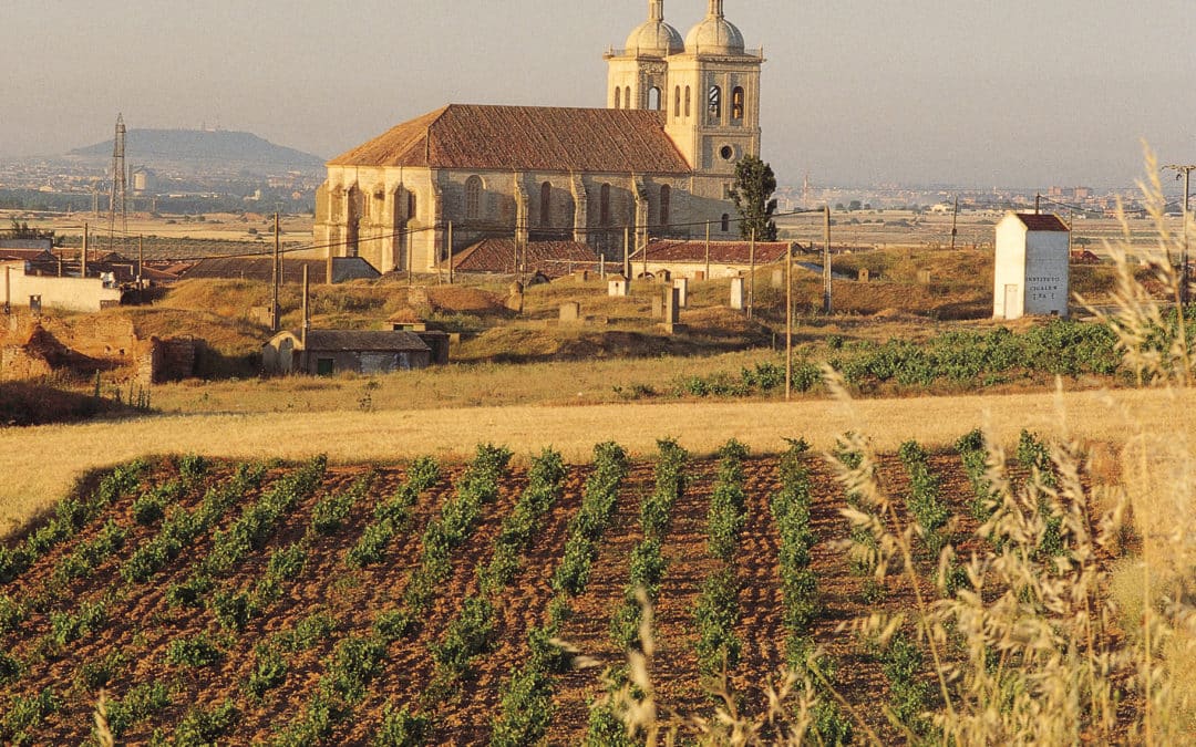 Plan de contingencia para la reactivación turística de Cigales