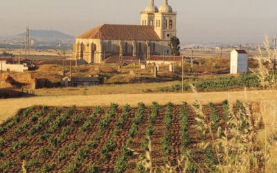 Plan de contingencia para la reactivación turística de Cigales