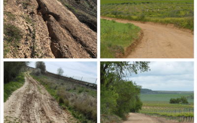 El Ayuntamiento de Cigales arregla el Camino de la Dehesa