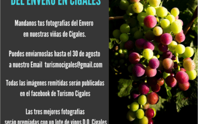 I Concurso fotográfico del Envero en Cigales