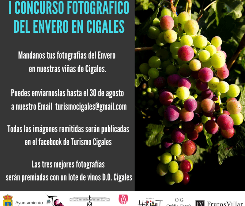 I Concurso fotográfico del Envero en Cigales