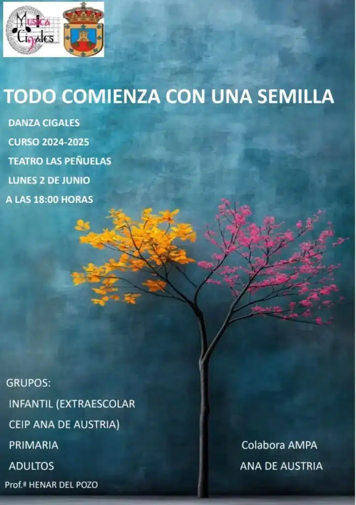 Todo comienza con una semilla