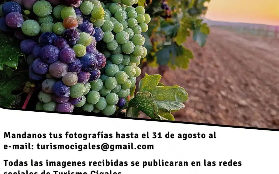 ¡Luz, Color y Envero! Abierto el VI Concurso de Fotografía Digital de Cigales