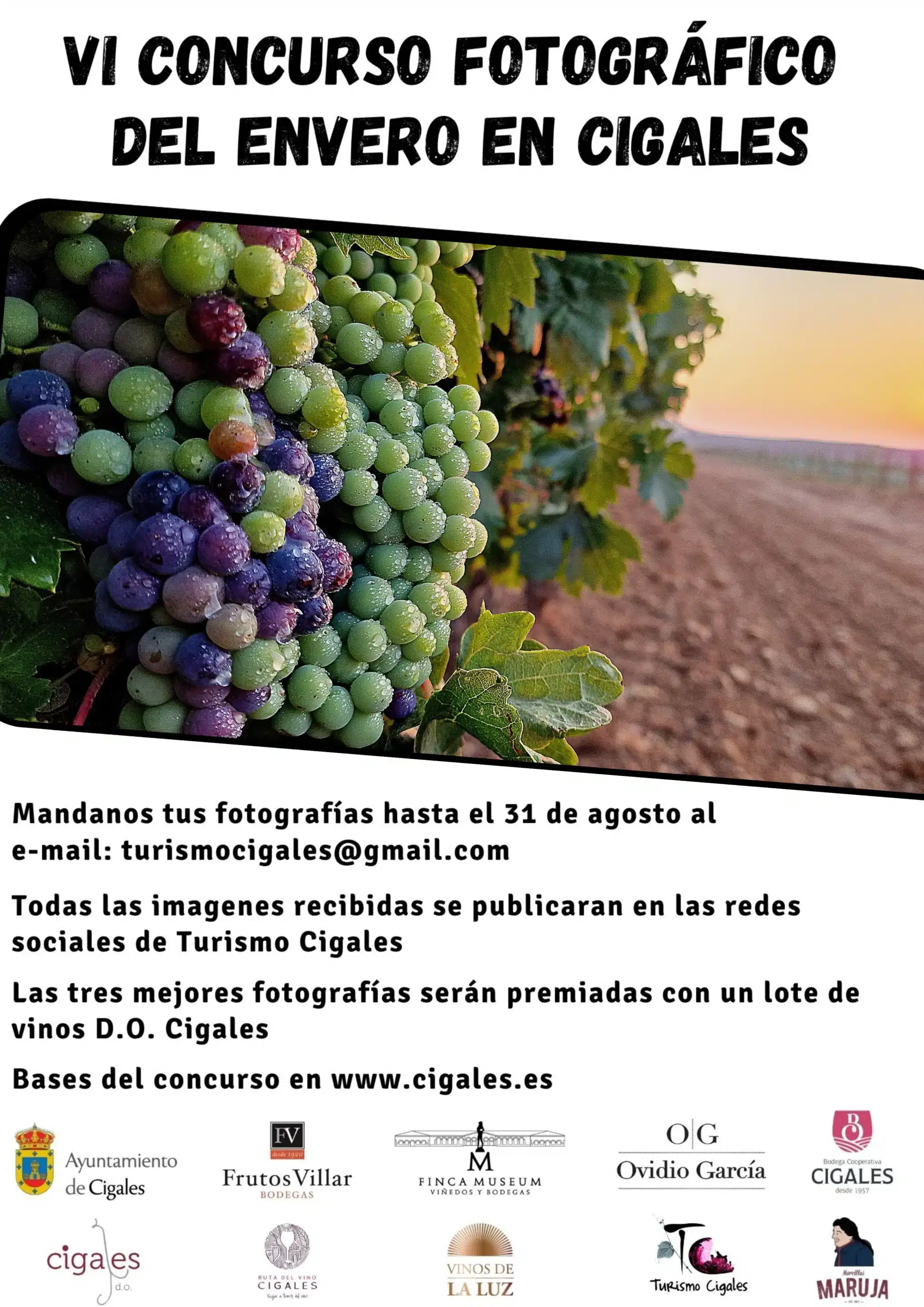 VI Concurso de fotografía