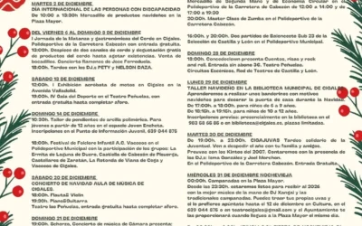 Programación Navidad 2025